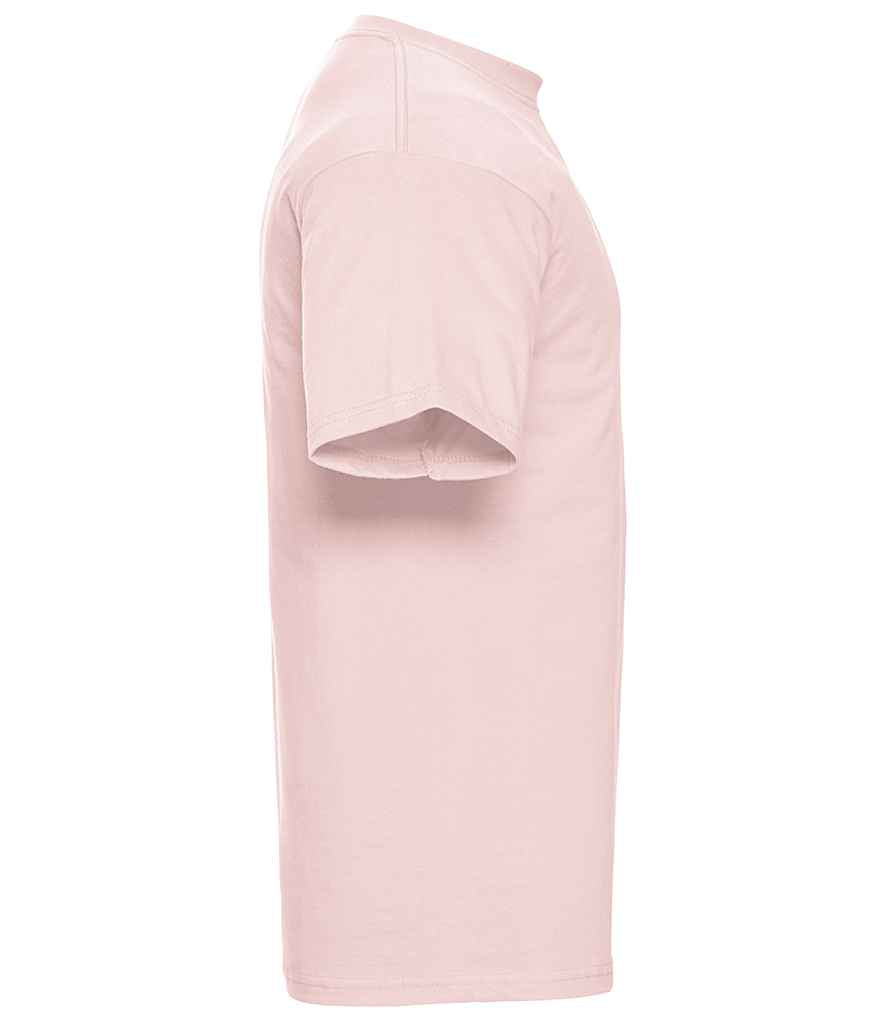 Powder Rose