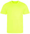 Electric Yellow