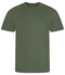 Earthy Green