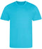 Hawaiian Blue