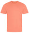 Peach Sorbet