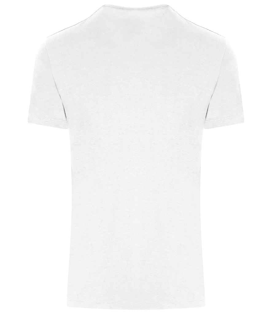 Arctic White