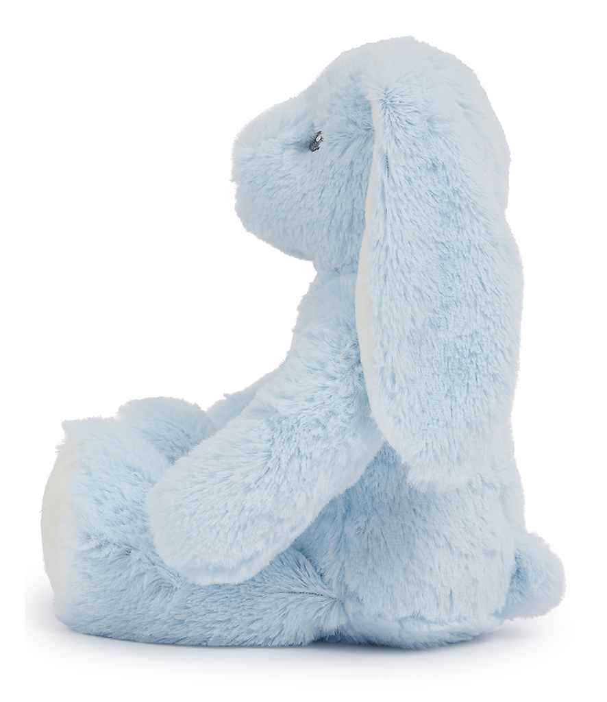 Blue Bunny