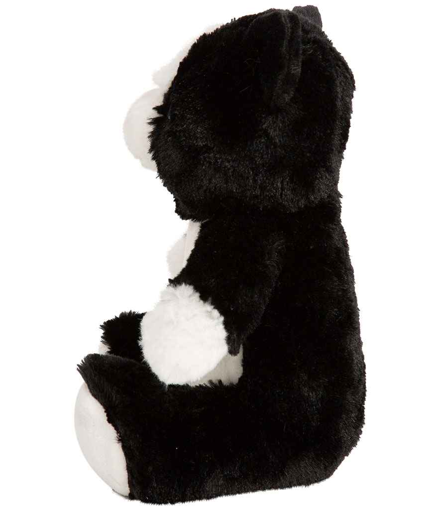 Black/White Cat