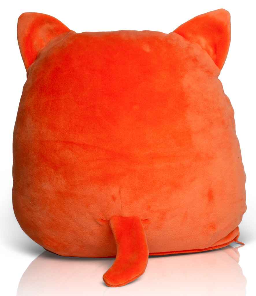 Orange Ginger Cat