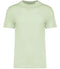 Celadon Green