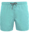 Light Turquoise