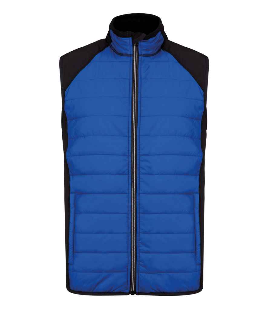Dark Royal Blue/Black