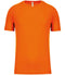Fluorescent Orange