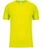 Fluorescent Yellow