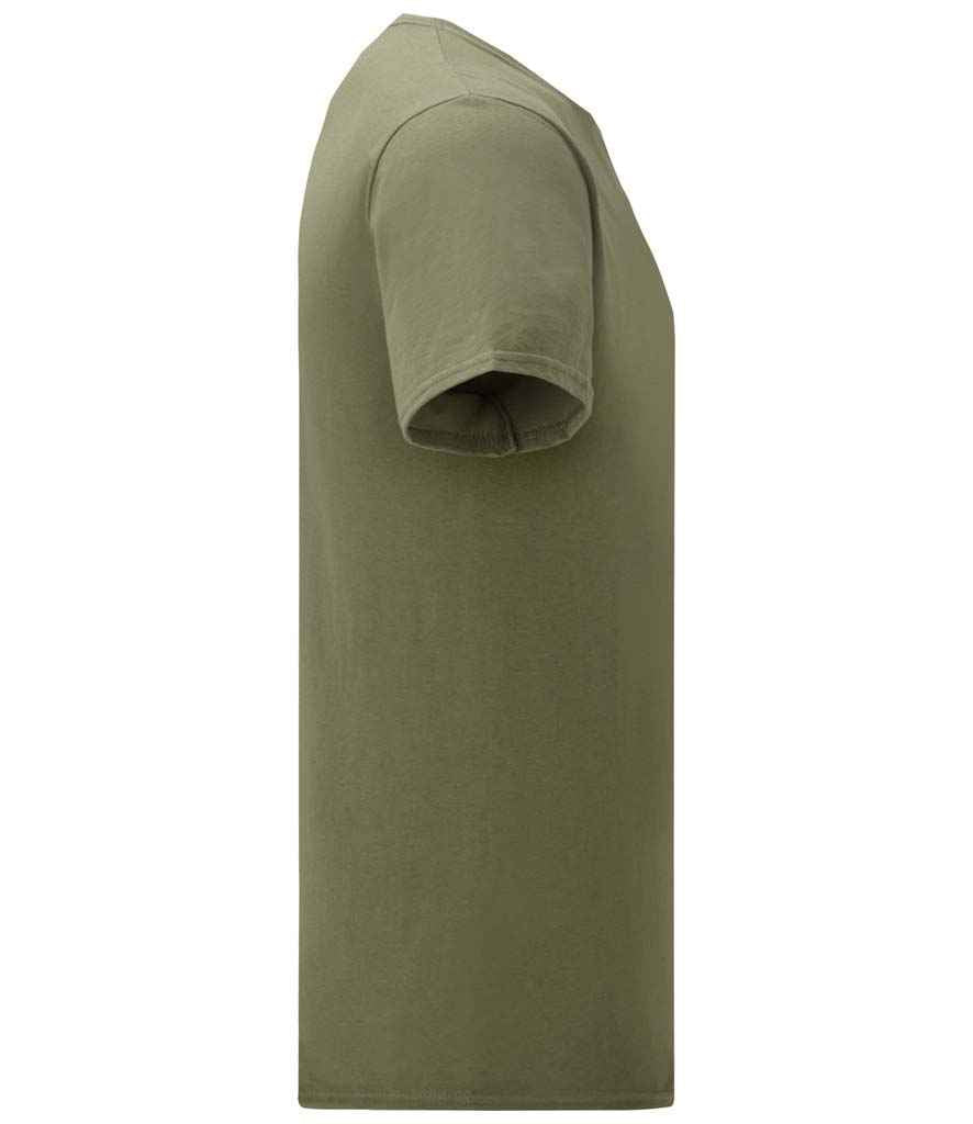 Classic Olive