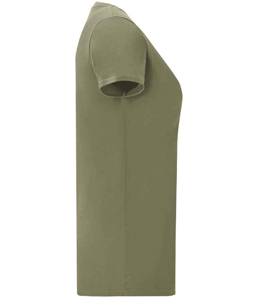 Classic Olive