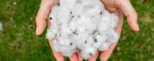The Organic Cotton Revolution
