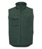 Bottle Green