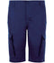 French Navy