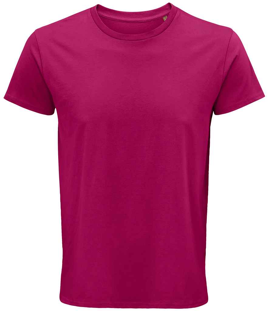 Fuchsia