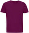 Astral Purple