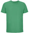 Spring Green