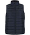 French Navy