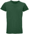 Bottle Green