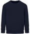 French Navy