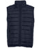 French Navy