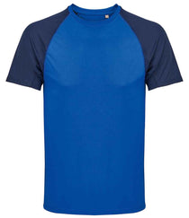 French Navy/Royal Blue