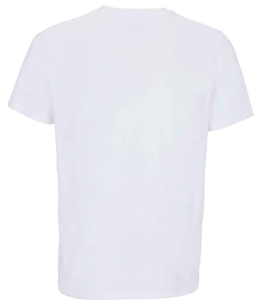 Absolute White
