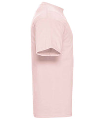 Powder Rose