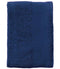 French Navy