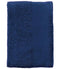 French Navy
