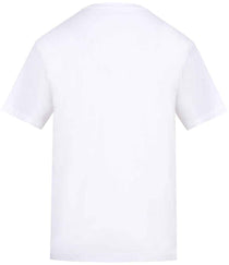Arctic White