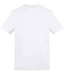 Arctic White