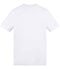 Arctic White