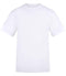 Arctic White