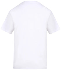 Arctic White