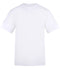 Arctic White