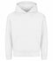 Arctic White