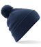 French Navy