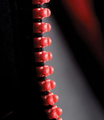 Black/True Red