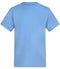 Cornflower Blue