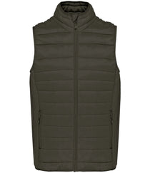 Dark Khaki
