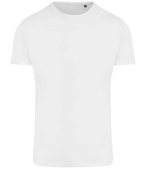 Arctic White