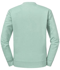 Eucalyptus Green