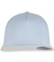 Light Blue/White