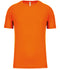 Fluorescent Orange