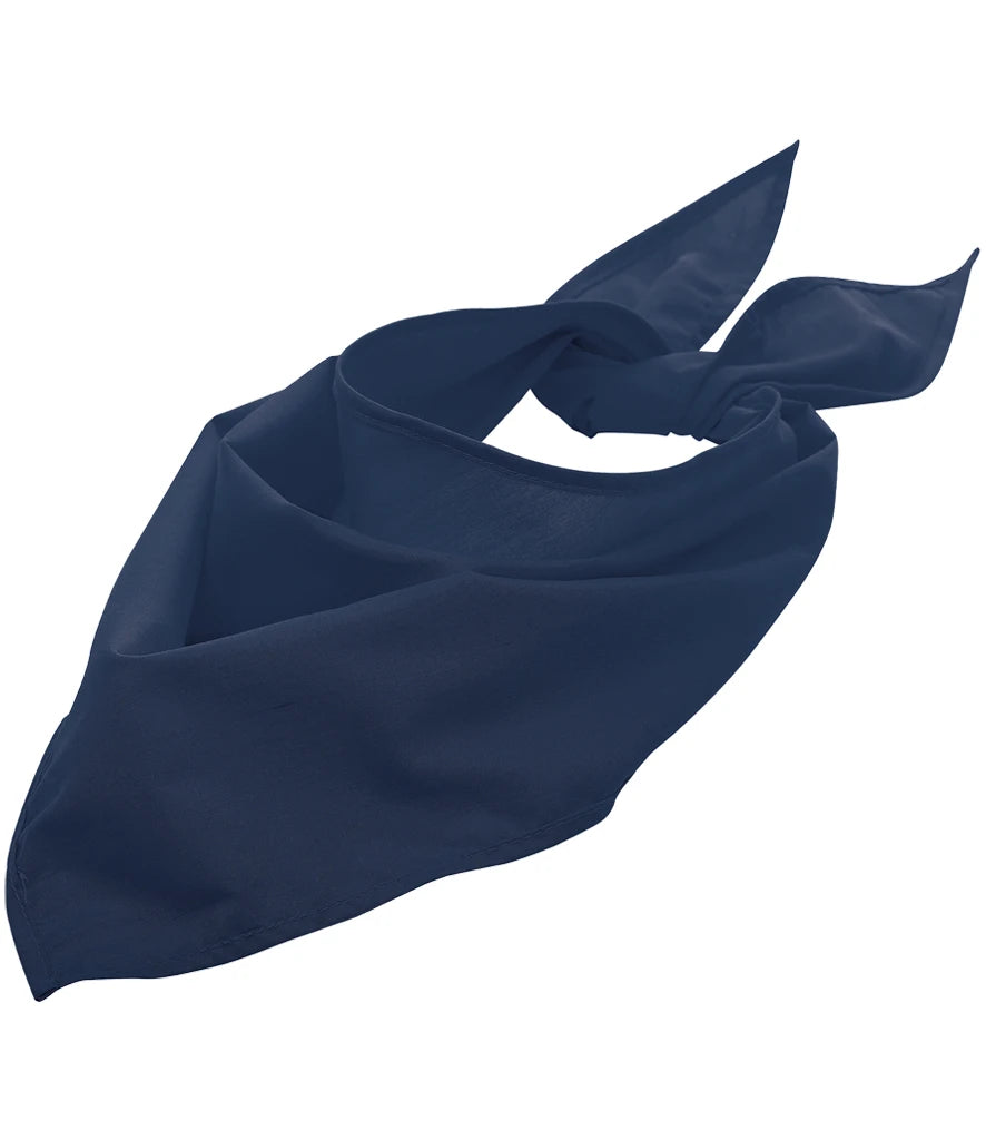French Navy