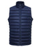French Navy