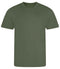 Earthy Green