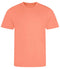 Peach Sorbet